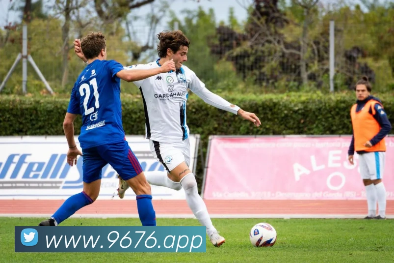 企业概况